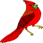 Cardinal 7
