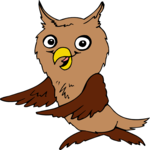 Owl 12