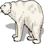 Bear - Polar 08
