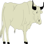Bull 5 Clip Art