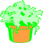 Plant 225 Clip Art