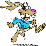 Rabbit Jogging