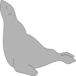 Seal 01