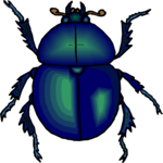 Beetle 20