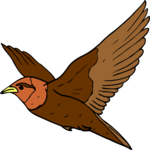 Bird 045
