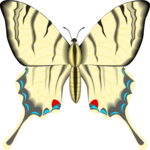 Butterfly 081