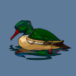 Duck 31