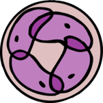 Biology - Cell 2 Clip Art