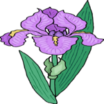 Flower 489 Clip Art