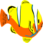 Fish 271