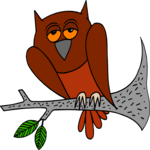 Owl 18