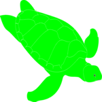 Turtle 1