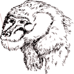 Chimp 10 Clip Art