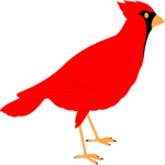Cardinal 4