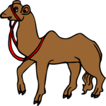 Camel 10