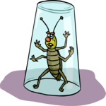 Insect - Caught Clip Art