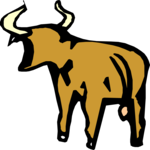 Bull 15