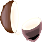 Coconut 4 Clip Art