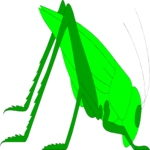 Grasshopper 05 Clip Art