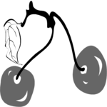Cherries 10
