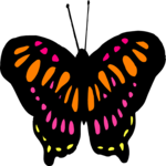Butterfly 042