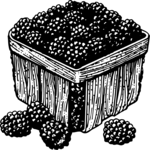 Blackberries 1 Clip Art