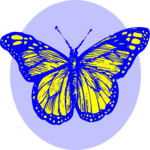 Butterfly 031