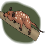 Opossum 2 Clip Art