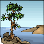 Tree 151