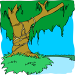 Tree 215 Clip Art