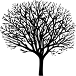 Tree 023 Clip Art