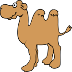 Camel 04
