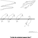 Bird - Technical Support