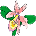 Flower 377