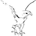 Hawk 2 Clip Art