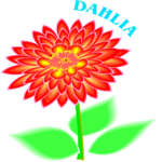 Dahlia 5 Clip Art