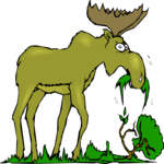 Moose Eating 2 Clip Art