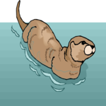 Otter 3 Clip Art