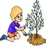 Boy Planting Tree