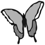 Butterfly 011