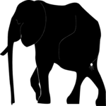 Elephant 4