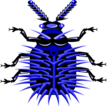 Beetle 17