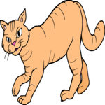 Cat 11