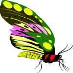 Butterfly 024 Clip Art