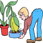 Feeding Plant Clip Art