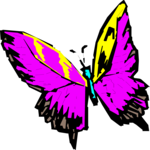 Butterfly 025