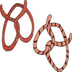 Pretzels 2 Clip Art