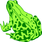 Frog 08 Clip Art