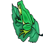 Frog 11