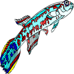 Killifish 03